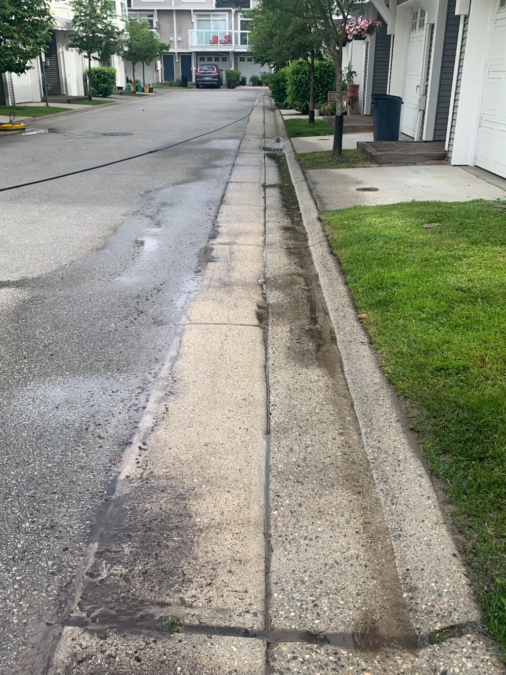 Fresh Curb and Driveway Appeal in South Vancouver, BC