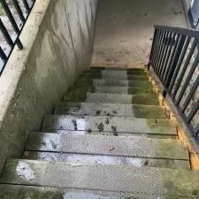House Washing Pressure Cleaning 9