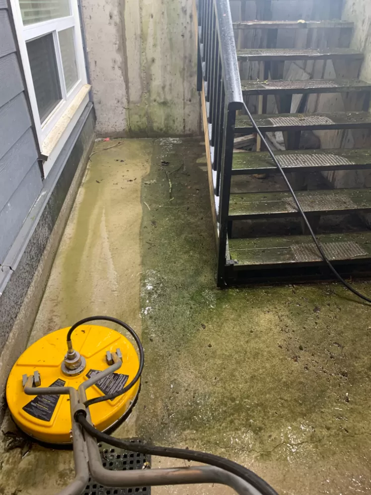 House Washing and Patio Washing in Surrey, BC