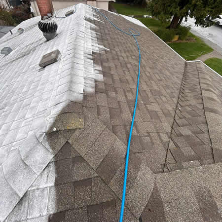 Roof moss removal in vancouver what works and what can damage your roof