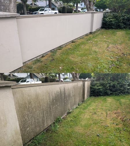 Stucco cleaning new