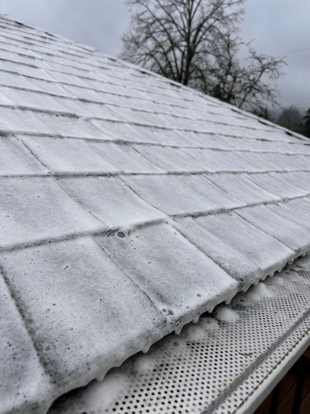 Gentle roof washing services vancouver