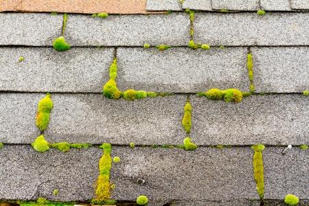 Roof moss removal